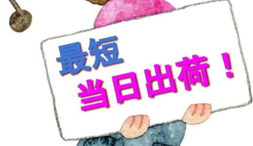 【簡易組立】サンワダイレクトの昇降スタンディングデスク『100-ERD034』のご紹介【120×60cm】